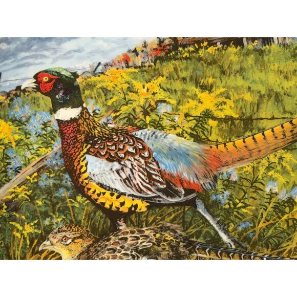 Collector Plate Edwin Knowles Wayne Anderson Upland Birds The Pheasant w/ Cert - Picture 3 of 7